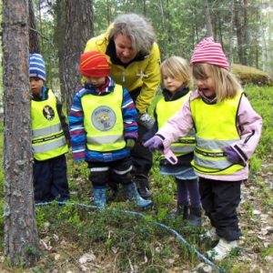 (klicka på bilden för att förstora den)