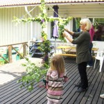 (klicka för större bild)
