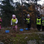(klicka för större bild)