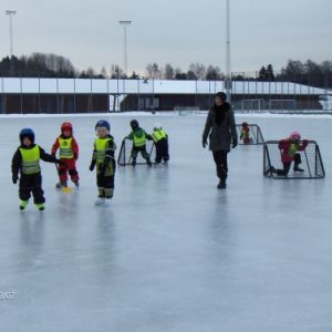 (klicka för större bild)