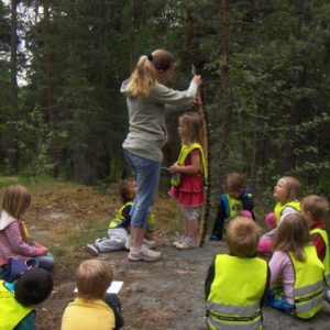 (klicka för större bild)