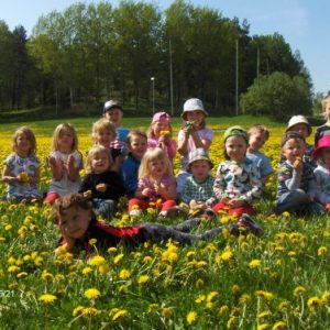 (klicka för större bild)